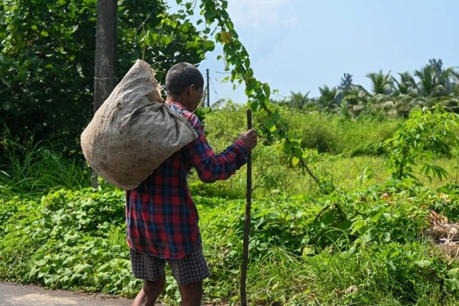 ग्रामीण भारत का विकास - rural life villager walking through murud